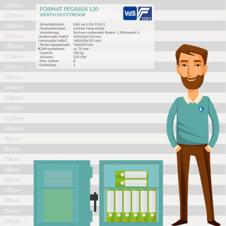 Format Pegasus 120 Value Protection Safe