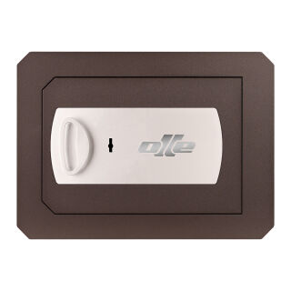 CLES wall 1001-37 Wall Safe