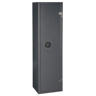 Format WF 145-7 Gun Cabinet