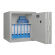 Format Pegasus 120 Value Protection Safe with two key locks