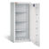 CLES tiger 1561 Value Protection Cabinet with key lock